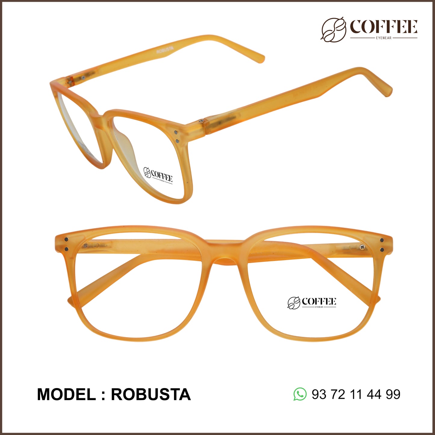 C14 Robusta